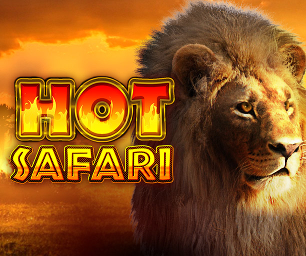 Hot Safari